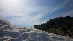 11074098_10206100441124253_9191970704065199400_n