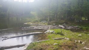 11215188_10206100439924223_8181563206951608529_n