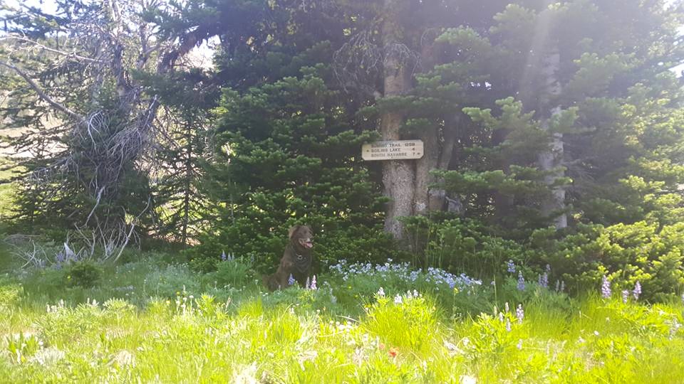 11693838_10206100442484287_6407098548781885428_n