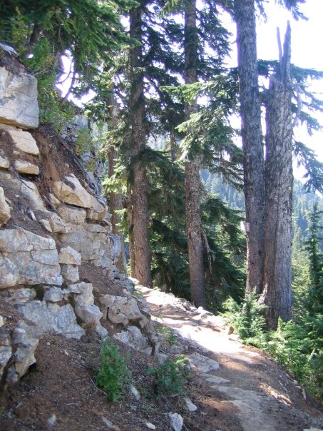 1916005_1216368403560_8374293_n