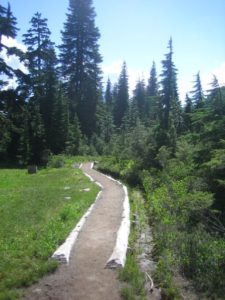 1929265_1061961263478_3500_n