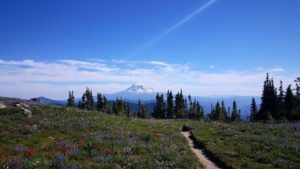 35296885_10214751877924766_6047934747340963840_n