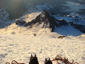 35474066_10214751878564782_7466458854893551616_n