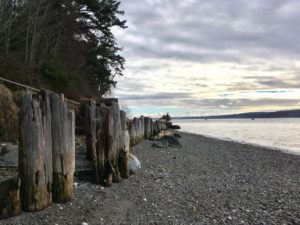 35482301_10214751877084745_6474835663131770880_n