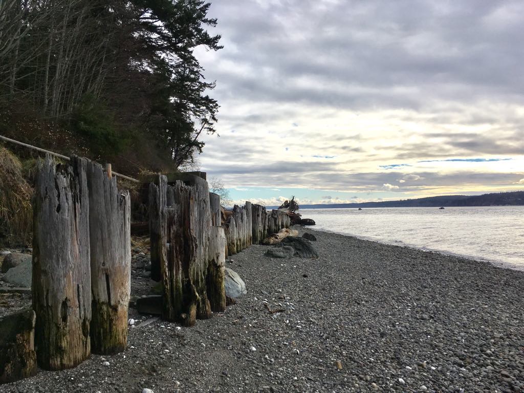 35482301_10214751877084745_6474835663131770880_n