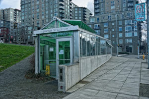 neukomvivarium_dion3