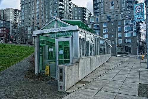 neukomvivarium_dion3